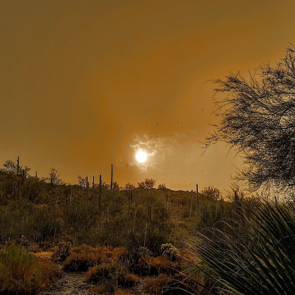 Meet your Posher, Unidentified Frying Obelisk'